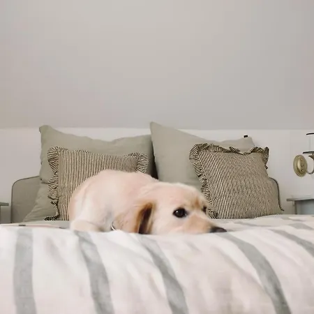 Apartman Lillebror Skandinavische Ruhe Mit Privater Sauna Baden-Baden